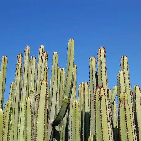 Sol 21 By Villagrancanaria Hotel 4*